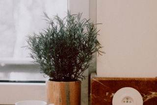 Dom Soni Bohosiewicz - projekt Ola Ziarek