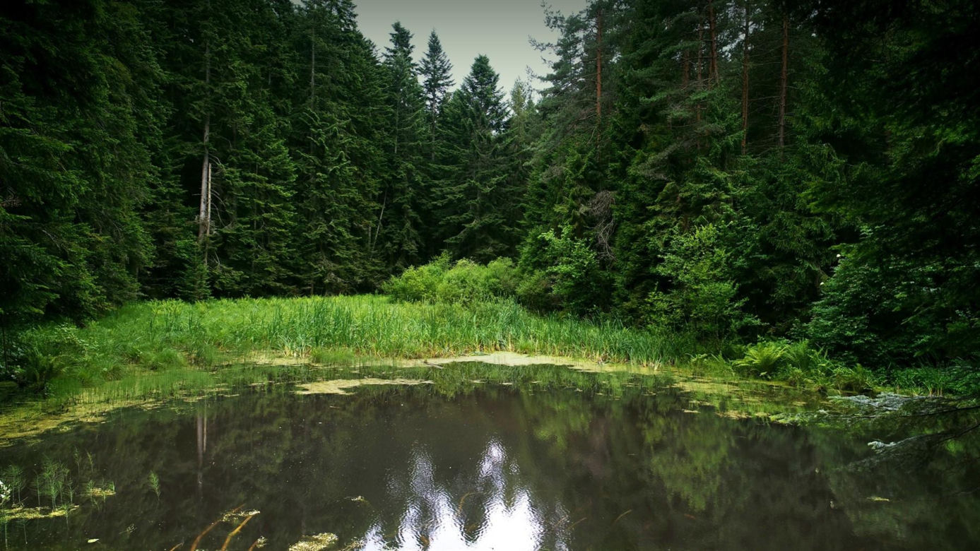 To uzdrowisko znów będzie turystycznym hitem lata. Jakie atrakcje warto zobaczyć w Muszynie? 