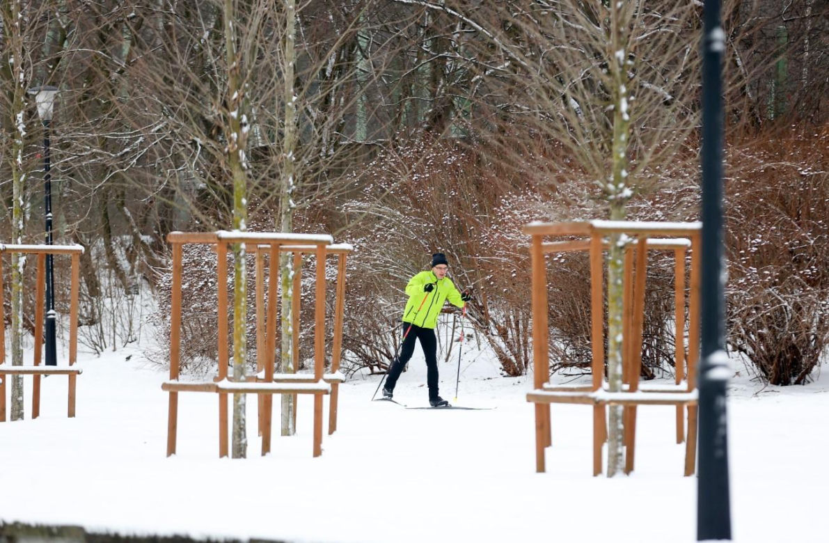Tam jest jak w bajce! Park Śląski zimą na fotografiach 