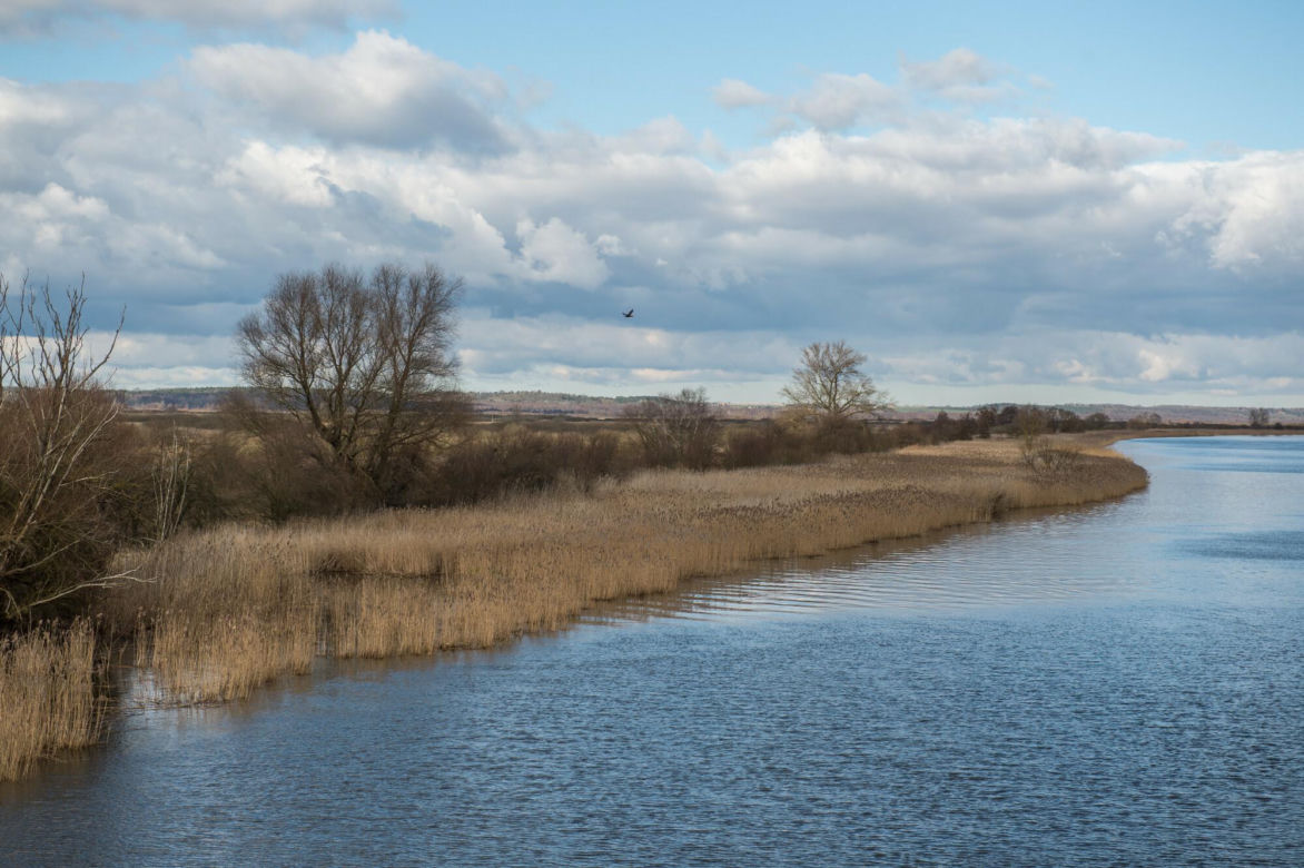 Dolna Odra