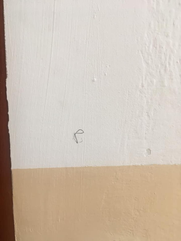 Tajemnicze znaki na Ursynowie 