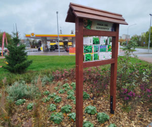 Park kieszonkowy w Siedlcach przy ul. Brzeskiej