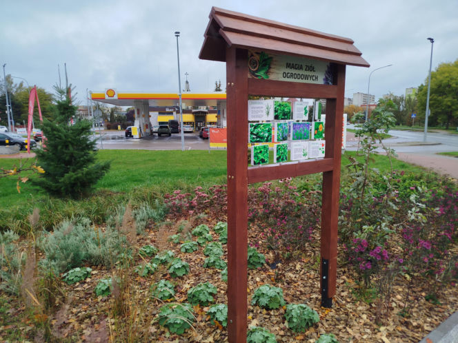 Park kieszonkowy w Siedlcach przy ul. Brzeskiej