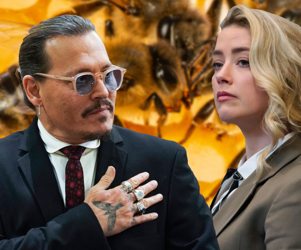 Depp vs. Heard