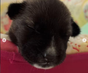 Malwina Wędzikowska