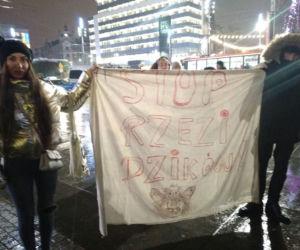 Protest w Katowicach