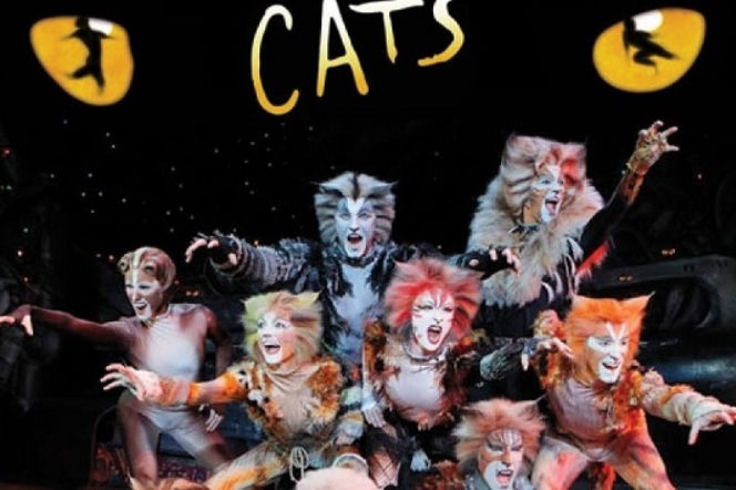 Artyści musicalu Cats w finale Tańca z Gwiazdami!
