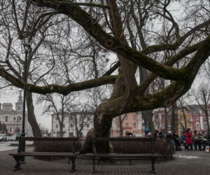 Polskie klony na europejskie salony