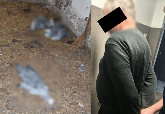 Sprawa ma swój dalszy, poważny ciąg