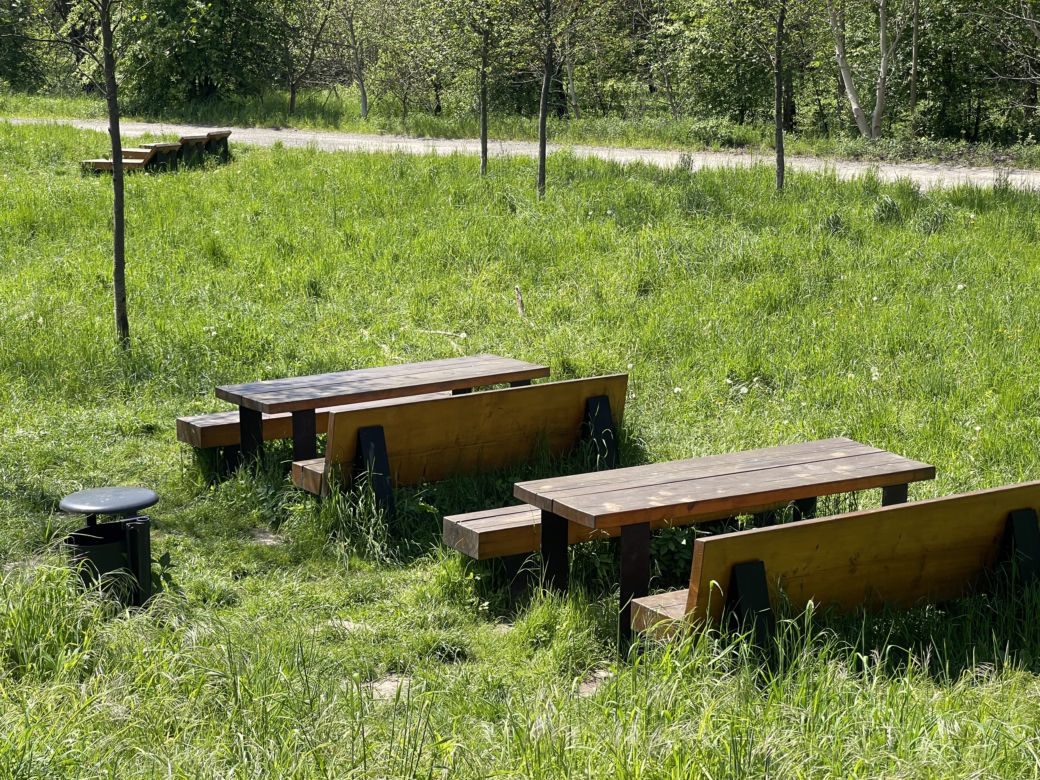 Kraków ma najdłuższy park w Polsce. Poznajcie Młynówkę Królewską! 