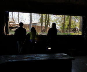 Wilcza Ostoja we wrocławskim zoo