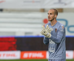 Dante Stipica