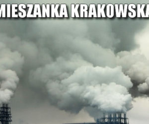 TOP 10 memów o Krakowie