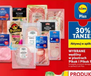 Dobre promocje w Lidlu
