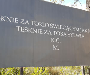 Bilbord z wyznaniem tęsknoty