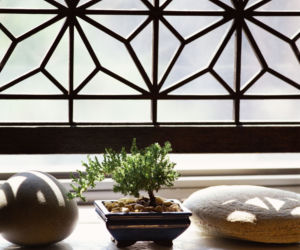 bonsai