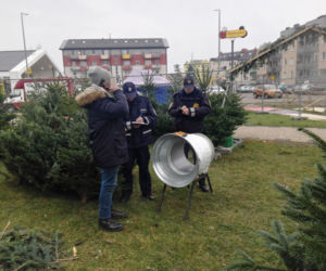 Akcja Choinka w Koszalinie