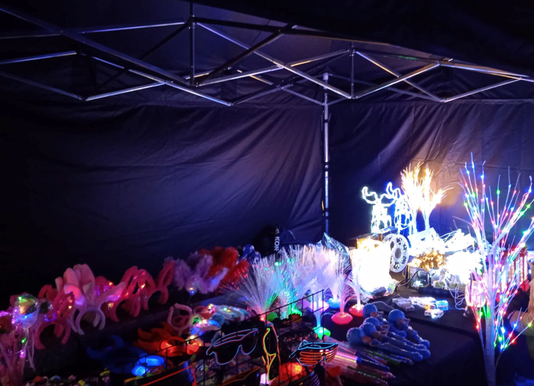 X Królewski Festiwal Światła