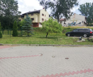 Starachowiczanie w czynie społecznym sprzątają miasto/ZEC MZK