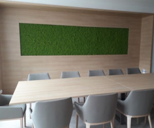 Green Decor