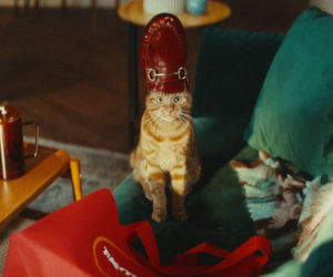 Kocia ikona stylu podbija świat mody – TK Maxx zaprasza do opowieści zatytułowanej „Każdy Dzień w Wielkim Stylu” z polskim akcentem w tle