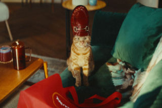 Kocia ikona stylu podbija świat mody – TK Maxx zaprasza do opowieści zatytułowanej „Każdy Dzień w Wielkim Stylu” z polskim akcentem w tle