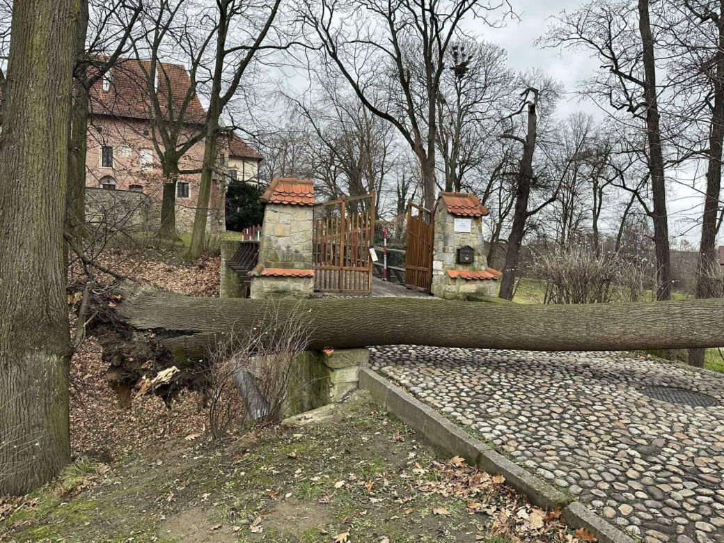 Potężne wichury przechodzą przez Małopolskę. Strażacy interweniowali ponad 120 razy