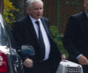 Koty Jarka nas terroryzują