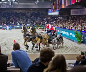 Konie, emocje i rywalizacja w sercu Wielkopolski! Rusza Perlage CAVALIADA Tour