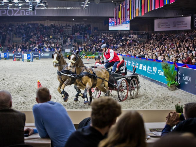 Konie, emocje i rywalizacja w sercu Wielkopolski! Rusza Perlage CAVALIADA Tour