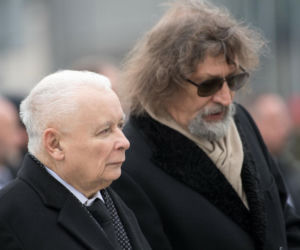 Koty Jarka nas terroryzują