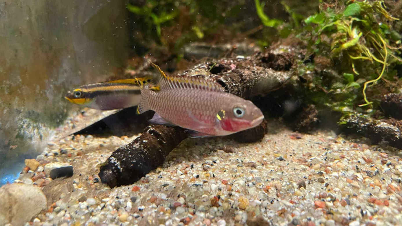 Rozmawiamy z Tomaszem Wiśniewskim, założycielem Aqua Dreams Bydgoszcz