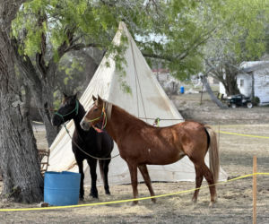 SWAP z Nowego Jorku z wizytą w Teksasie