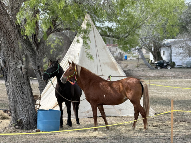 SWAP z Nowego Jorku z wizytą w Teksasie