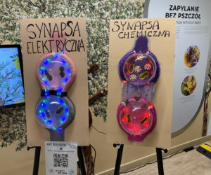 15. Noc Biologów w Olsztynie