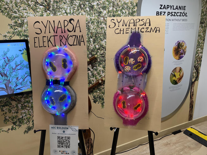 15. Noc Biologów w Olsztynie