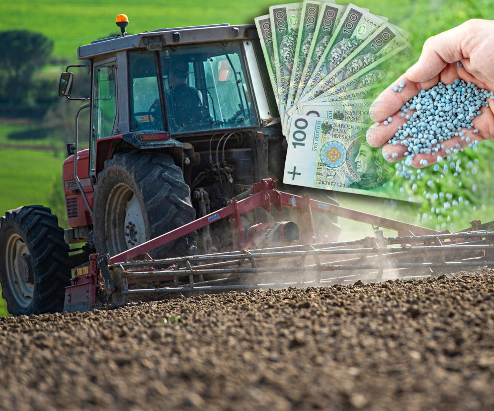 Czerwony traktor na tle zielonego pola, ora pługiem brunatną ziemię. Na pierwszym planie dłoń sypiąca granulat nawozu, a za nią wachlarz banknotów stuzłotowych. Więcej o wsparciu dla rolników przeczytasz na Super Biznes.