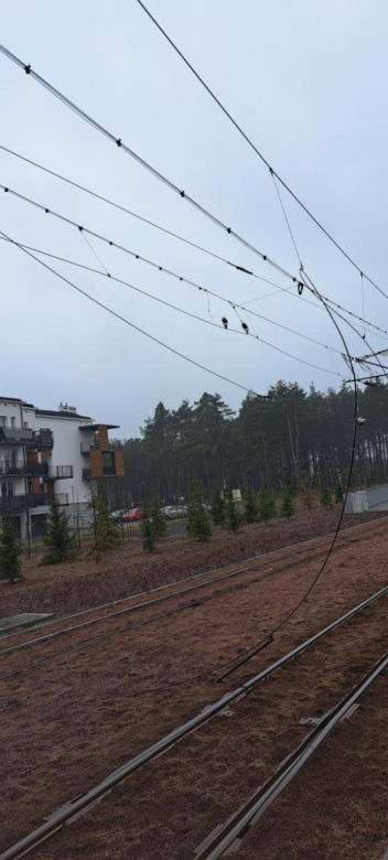 Ktoś zerwał sieć trakcyjną w Toruniu. Poważne utrudnienia