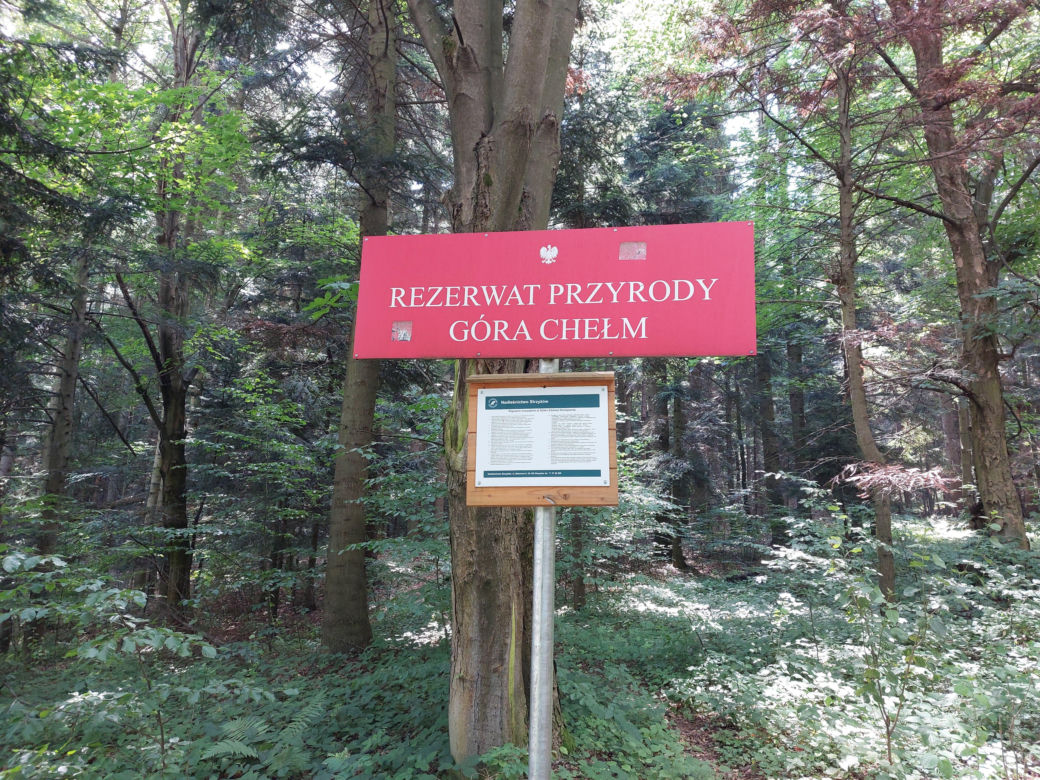 Góra Chełm w powiecie strzyżowskim na Podkarpaciu [GALERIA]