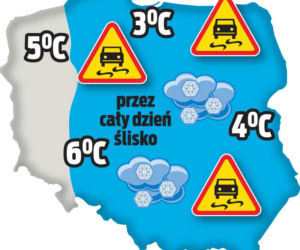 Jak bezpiecznie wrócić do domu