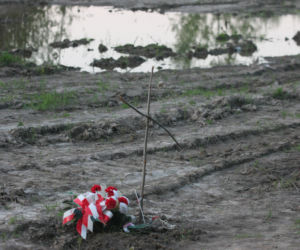 Smoleńsk 2010. Zdjęcia z miejsca katastrofy prezydenckiego samolotu
