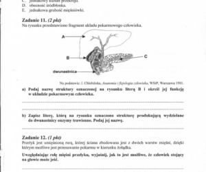 MATURA 2012 BIOLOGIA poziom ROZSZERZONY 14.05.2012 - ARKUSZE, ZADANIA, PYTANIA, ODPOWIEDZI