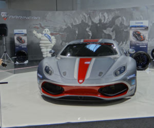 Arrinera Hussarya 
