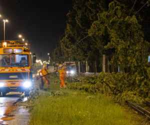 Szkody po nawałnicy w centrum Łodzi 