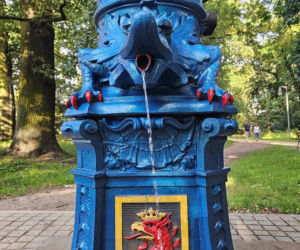 Szczecińskie pompy