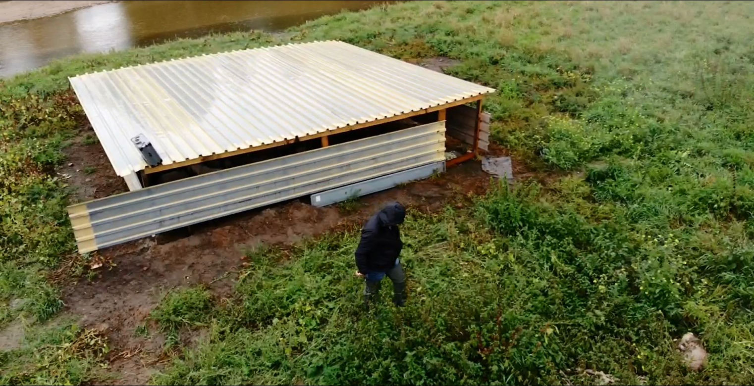 Padnięte kozy