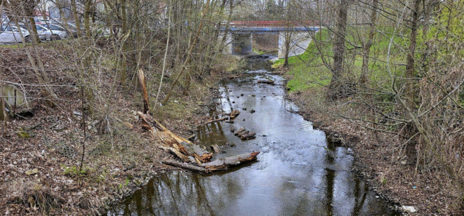 Młyn wodny w Morawicy