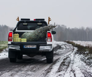 Toyota Hilux Selection 2.4 D-4D 4x4 - pomocnik Świętego Mikołaja