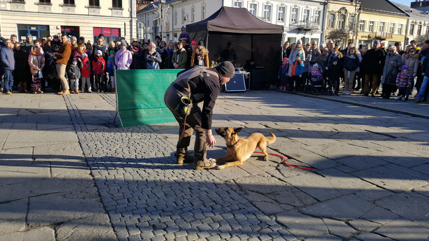 WOŚP 2020. Tak grają w Nowym Sączu! Prezydent otworzył 28. Finał 