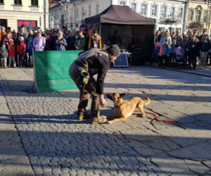WOŚP 2020. Tak grają w Nowym Sączu! Prezydent otworzył 28. Finał 
